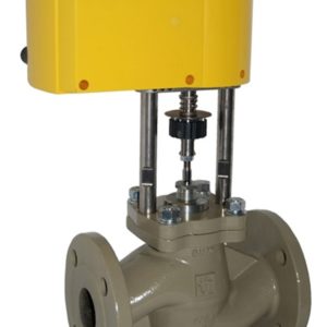Electric 2 Way PN16 Globe Control Valve 1-1/4" Cast Iron (DN32)